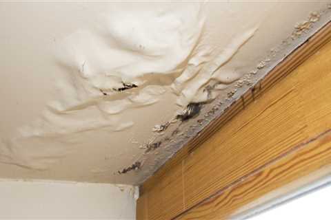 The Dangers of Ignoring a Leaking Roof