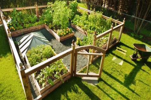 How to Install a Vegetable Garden for a Beautiful and Functional Backyard