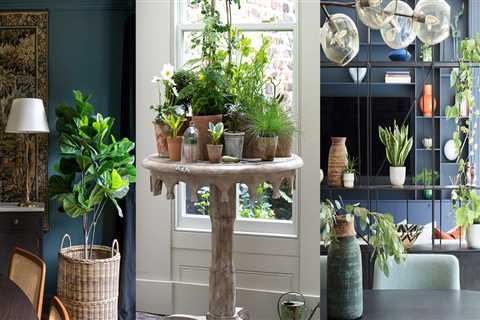 Indoor Plants and Greenery in Interior Design: Adding Life to Your Space