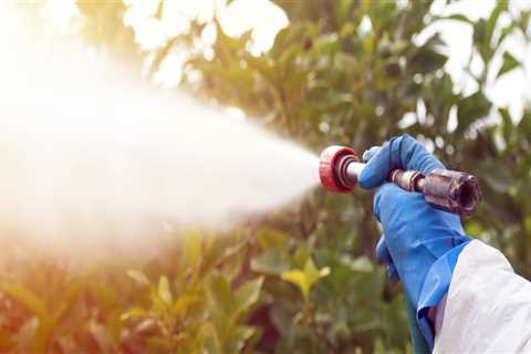 The Advantages Of Hiring A Calgary Wasp Control Provider For Your Needs In Landscaping Services