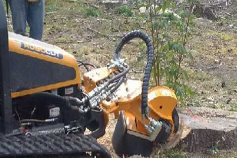 Enhance Your Property With Professional Stump Removal And Forestry Mulching Services