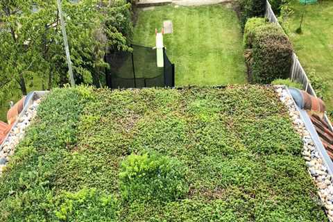 Maintenance and Installation Considerations for Green Roofs