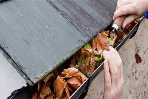 Gutter Cleaning and Maintenance: Protecting Your Roof and Insulation