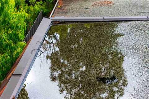 Pooled Water on the Roof: Causes, Solutions, and Prevention