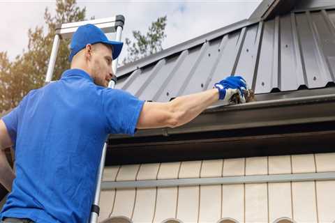 How to Effectively Clean and Maintain Your Gutters and Downspouts