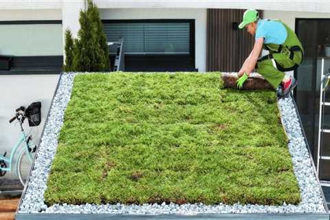 Environmental Benefits of Green Roofs: Enhancing Your Roof and Protecting the Environment