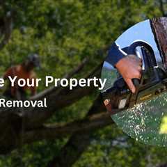 Expert Tips for Preparing Your Property for Safe and Efficient Tree Removal Services