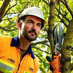 8 Essential Arboriculture Practices Every Tree Enthusiast Should Master