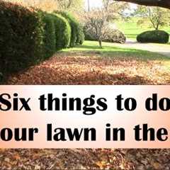 Six things to do to your lawn in the fall
