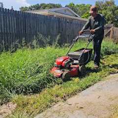 PUSH MOWING an Overgrown Lawn and BAGGING All the Clippings