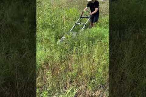 WAIST HIGH Grass VS ELECTRIC Push Mower