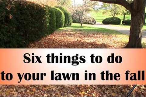 Six things to do to your lawn in the fall