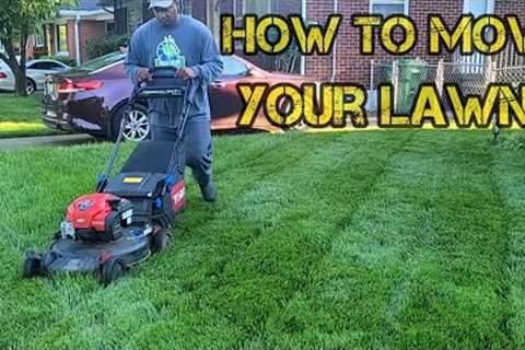 How to MOW, TRIM, EDGE and Blow your grass