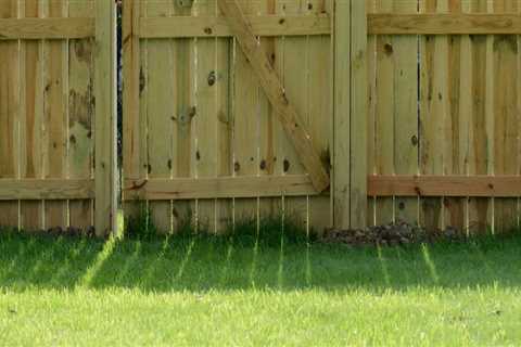 The Most Affordable Fence Options for Your Home