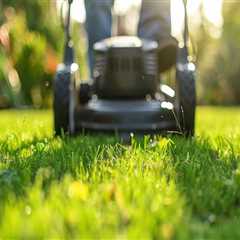 Austin's Sod Makeover: A Fresh Start After Land Clearing