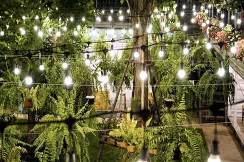 Exploring the Different Options for Installation of Smart Landscape Lighting