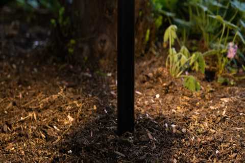 The Power of Smart Landscape Lighting: A Guide to Programming on a Schedule