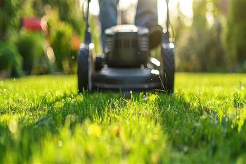 Austin's Sod Makeover: A Fresh Start After Land Clearing