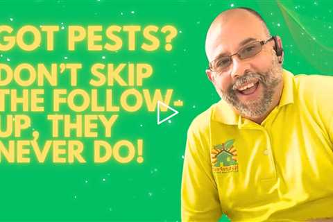 The Power of Constant Follow-Up and Inspection: How to Achieve Long-Term Pest Control