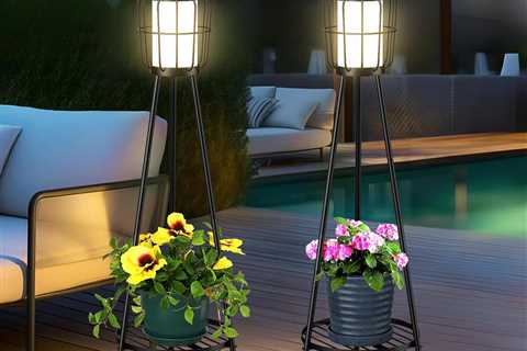 2 Pack Solar Lights Review: Stylish & Functional