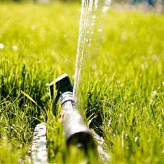 The Importance Of Winterizing Your Sprinkler System For Tree Maintenance In Northern Virginia