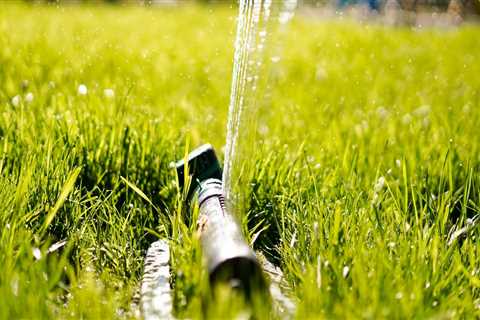 The Importance Of Winterizing Your Sprinkler System For Tree Maintenance In Northern Virginia