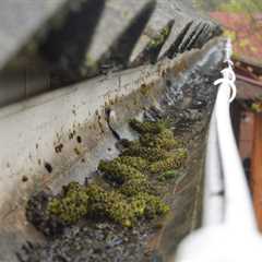 Gutter Cleaning in  Longniddry Professional Gutter Cleaners Call Today For A Free Quote ..