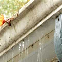 Signs that gutters need to be cleaned