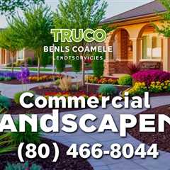 Elevate Your Business With Commercial Landscaper Services Truco Services (801) 466–8044