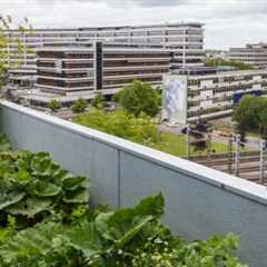 Roof Leak Detection  Wythall Commercial Property Specialists Call Today For A Free Quote..