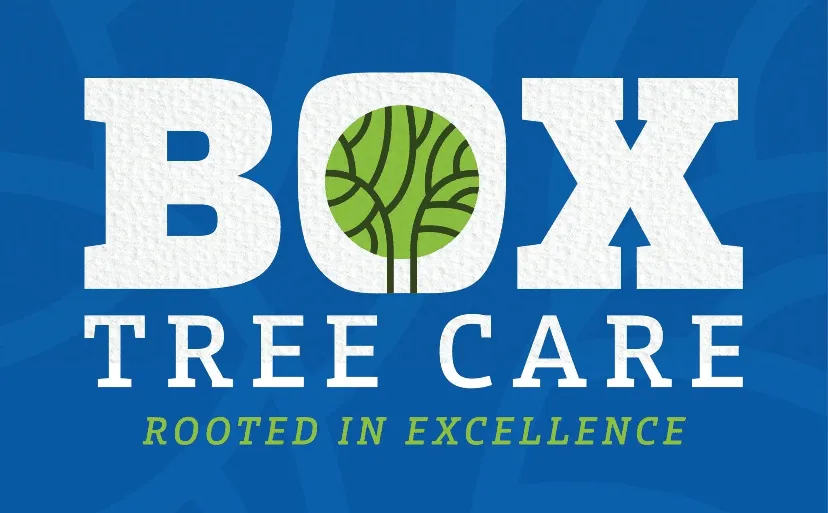 Tree Care - Box Tree Care