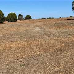 Why Stump Removal Is Crucial For Effective Land Clearing In Greater Austin