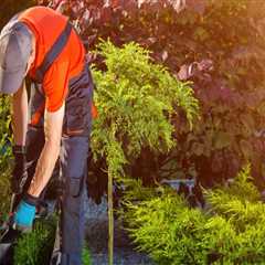 Benefits Of Hiring A Landscaping Company For Lawn Maintenance In Derry, New Hampshire