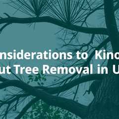 Considerations To Know About Tree Removal In Utah