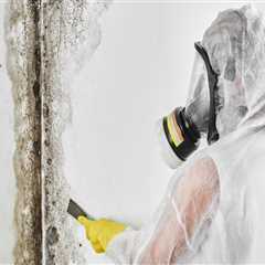 Testing for Mold in Your Home: A Comprehensive Guide for Homeowners
