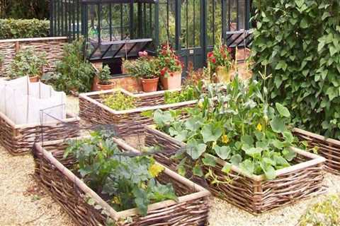 How to Plan and Design a Beautiful Vegetable Garden