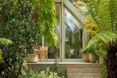 Exploring the Latest Vertical Gardening Trends
