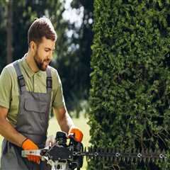 The Essential Guide To Lawn Maintenance For Portland's Commercial Landscapes