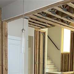 The Importance Of Hiring A Mold Remediation Contractor For Mold Inspection In Lynnwood