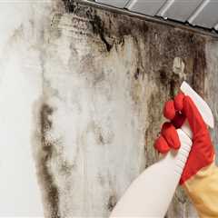 How to Prevent and Fix Leaks and Water Damage on Your Roof