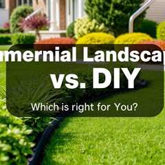 Commercial Landscaper Vs DIY: Which Is Right For You? Truco Services (801) 466–8044