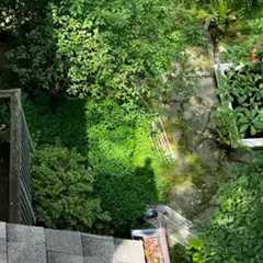 Gutter cleanout contractor Bowie, MD · May 14 – 13 📸