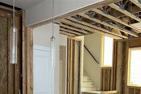 The Importance Of Hiring A Mold Remediation Contractor For Mold Inspection In Lynnwood