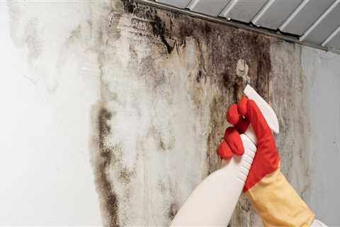 How to Prevent and Fix Leaks and Water Damage on Your Roof