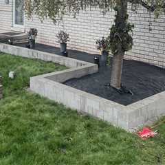 Tree Cutting And Lawn Care Services In Kalamazoo, MI: A Winning Combo For A Healthy Yard