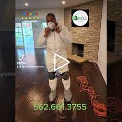 Need Pest Control Service?