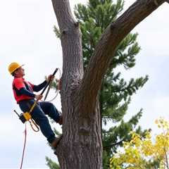 Indicators On Best Tree Removal In Utah County You Should Know