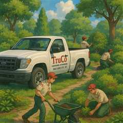 Salt Lake City Utah Landscaping