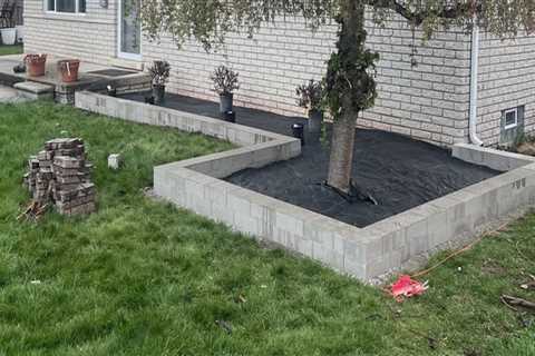 Tree Cutting And Lawn Care Services In Kalamazoo, MI: A Winning Combo For A Healthy Yard