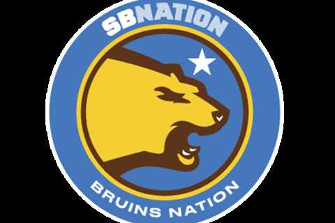 PaintBuddyCo Profile and Activity - Bruins Nation